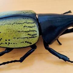 ヘラクレスオオカブト　昆虫　フィギュア　デアゴスティーニ　リアル 　　DeAGOSTINI　カブトムシ　虫　大きい　ヘラクレス　観察　鑑賞の画像