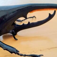 ヘラクレスオオカブト　昆虫　フィギュア　デアゴスティーニ　リアル 　　DeAGOSTINI　カブトムシ　虫　大きい　ヘラクレス　観察　鑑賞の画像