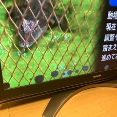 テレビの画像