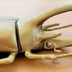 ネプチューンオオカブト　昆虫　フィギュア　ゴールド　金色　の画像