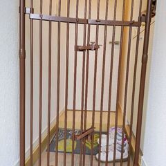 のぼれんニャン／ペットゲートの画像