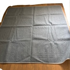 【美品】電気カーペット用カーペット　2畳の画像