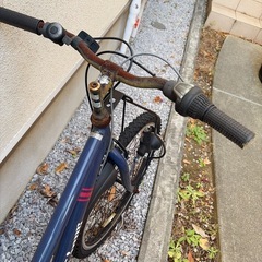ライオンズ　キッズ自転車の画像