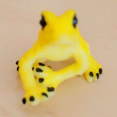 カエル　カタツムリ　ヤドクガエル　ベルツノガエル　海洋堂　可愛い　フィギュア　蛙　かえる　5個セット　かわいいの画像