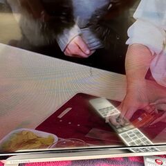 【動作保証あり】TOSHIBA 東芝 2015年 43J10 43V型 フルハイビジョン 液晶テレビ【管理KRT268】の画像