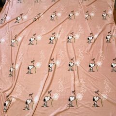 スヌーピーの毛布キングサイズ。アメリカから。の画像