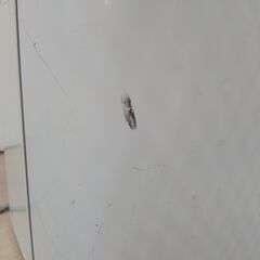 シャープ製加湿空気清浄機　品番： KC-Y45-W 　2010年製　ホテル引き上げ品　在庫多数あり！！管理番号YN314Sの画像