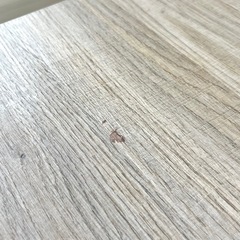 ニトリ こたつの画像