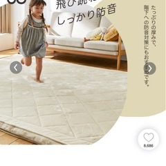 【防音】極厚ラグ　50mmの画像