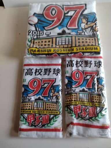 第97回 全国高校野球選手権大会 高校野球公認グッズ タオル