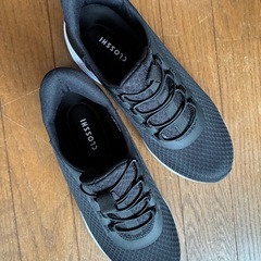 シューズ2足　メンズLの画像