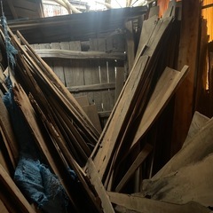 杉の木 diyや薪にどうぞの画像