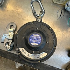 ツヨロンベルトの画像