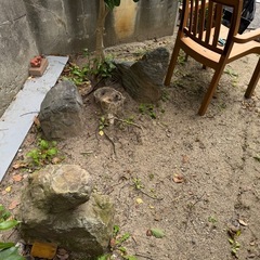 灯篭、庭石無料ご自身で搬送の画像