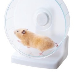 元値16,000円➕その他　ハムスターのお家　飼育ケースの画像