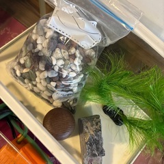 金魚飼育7点セットの画像