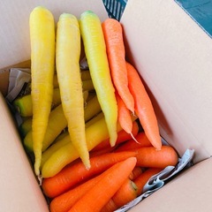 人参 1箱5キロ入り の画像