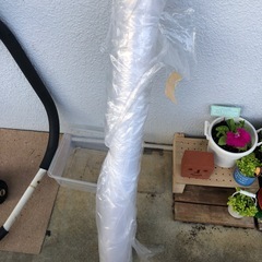 養生するやつ？クリアビニールの画像