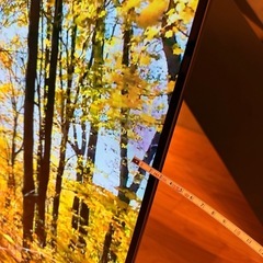 SONY 55インチ2018年製 有機ELテレビ 
BRAVIA KJ-55A8Fの画像