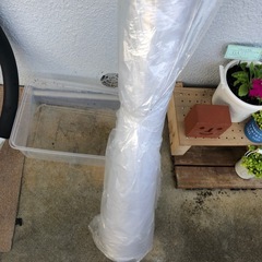 養生するやつ？クリアビニールの画像