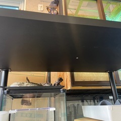 テーブル マットブラックの画像