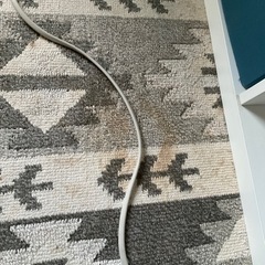 　中古のカーペット　の画像