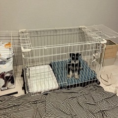【新品同様】天井付犬用ケージの画像