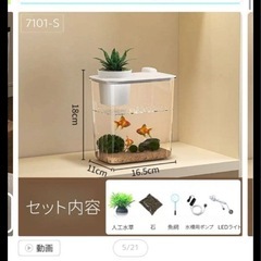 卓上　ミニ　水槽　の画像