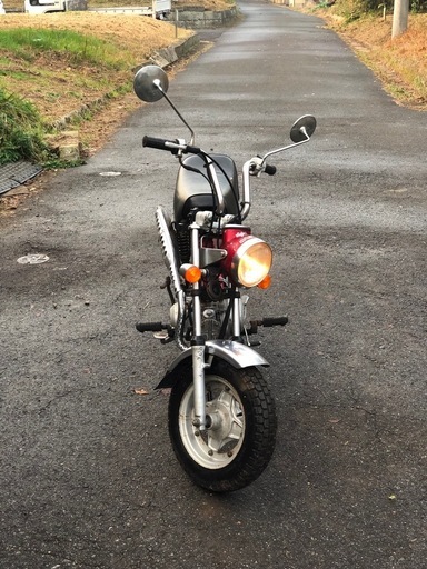 ダックス50実動