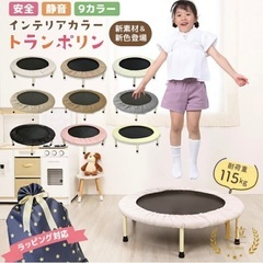 【無料】家庭用トランポリン 引き取り限定の画像