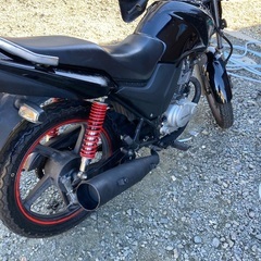 CBF125買ってくれる方‼️ CBFとTWを交換してくれる方‼️の画像