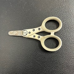 猫壱🐈‍⬛猫爪切り🐈‍⬛の画像