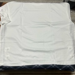 大きいレディーストップスの画像