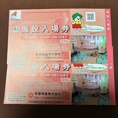 スパリゾートHawaiianペアticketの画像