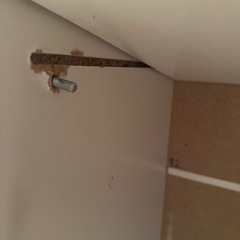 receno マガジンラック汚れありの画像