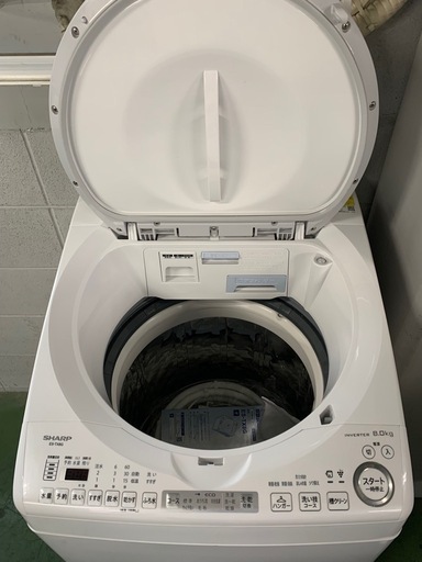 SHARP 洗濯機 2023