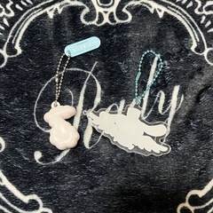 未使用 サンリオ シナモロール キーホルダー 2個セットの画像