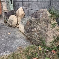 庭石です。の画像