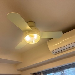 LEDシーリングファンライト　白の画像