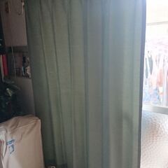 緑のカーテンの画像