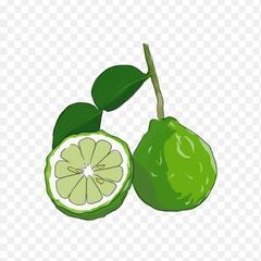 全国通話重視のメンタルグルチャです