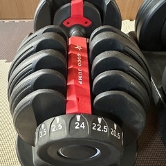 可変式ダンベル24KGの画像