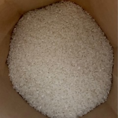 令和7年産　新米　コシヒカリ　5kg の画像