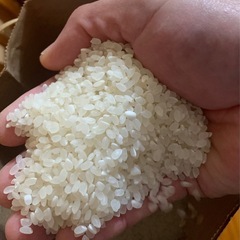 令和7年産　新米　コシヒカリ　5kg の画像