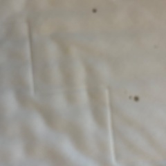 IKEA子供用ベッドの画像