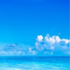 平日ランチ、ソロキャンプ、バイクツーリング、神社めぐりなど