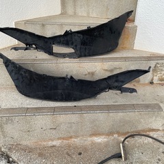 PCXステップの画像