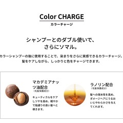 ソマルカ　カラーチャージ　アッシュ(カラートリートメント)の画像