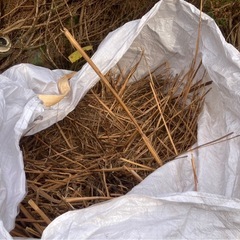 差し上げます。茅葺屋根の茅葺　の画像