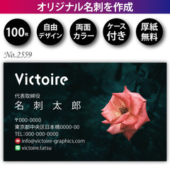 名刺印刷 100枚 両面 フルカラー 紙ケース付 No.2…